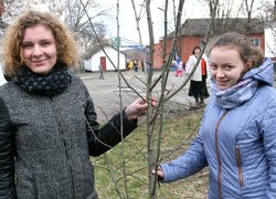 Акцію «Посади дерево» продовжено у ЗОШ № 4