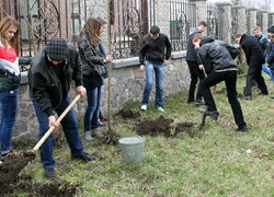 Акцію «Посади дерево» продовжено у ЗОШ № 4