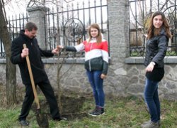 Акцію «Посади дерево» продовжено у ЗОШ № 4