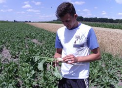 Науково-агрономічна практика
