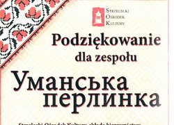 Визнання творчих колективів Уманського НУС країнами Європи