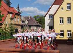 Визнання творчих колективів Уманського НУС країнами Європи