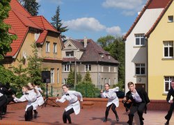 Визнання творчих колективів Уманського НУС країнами Європи