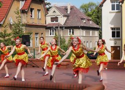 Визнання творчих колективів Уманського НУС країнами Європи