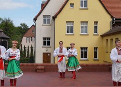 Визнання творчих колективів Уманського НУС країнами Європи