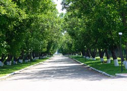 Стабільна економіка – основа соціального розвитку села