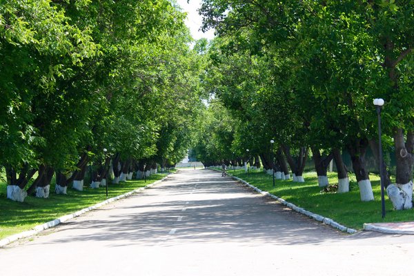 Стабільна економіка – основа соціального розвитку села