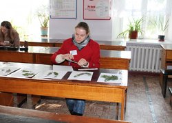 ІІ етап Всеукраїнської студентської олімпіади за напрямом підготовки «Лісове і садово-паркове господарство»