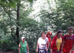 Навчальна практика з дисципліни «Ботаніка»