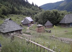 Навчальна практика з дисципліни «Ботаніка»