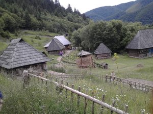 Навчальна практика з дисципліни «Ботаніка»