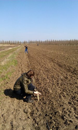 Якісне виконання робіт забезпечує злагоджена робота ланки