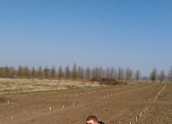 Збереження напрямку ряду вимагає пильності