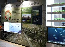 Стажування в Італії у рамках проекту SUAFRI-EPC