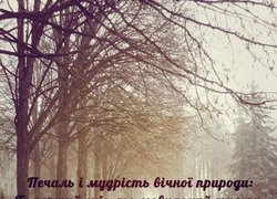 Печаль і мудрість вічної природи