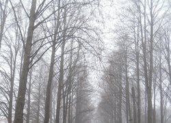 Печаль і мудрість вічної природи