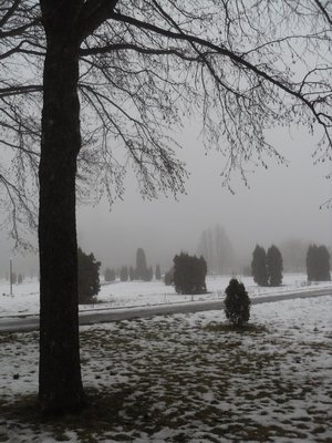Печаль і мудрість вічної природи