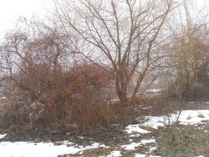 Печаль і мудрість вічної природи