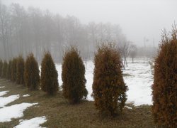 Печаль і мудрість вічної природи