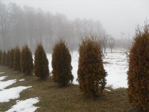 Печаль і мудрість вічної природи