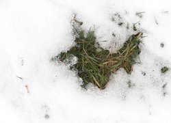 Печаль і мудрість вічної природи