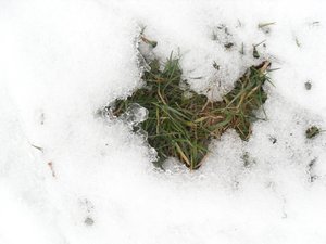 Печаль і мудрість вічної природи
