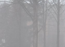 Печаль і мудрість вічної природи