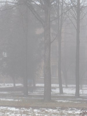 Печаль і мудрість вічної природи