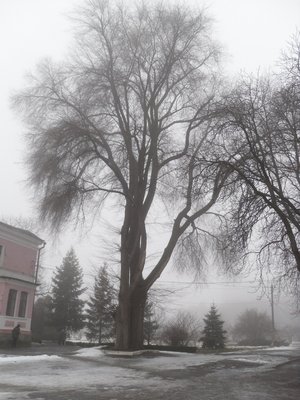 Печаль і мудрість вічної природи