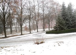 Печаль і мудрість вічної природи