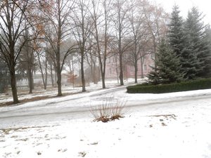 Печаль і мудрість вічної природи