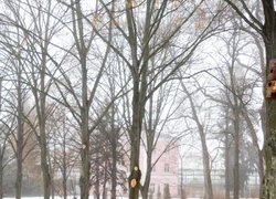 Печаль і мудрість вічної природи