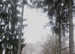 Печаль і мудрість вічної природи