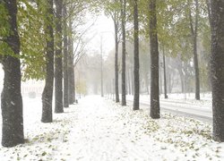 Печаль і мудрість вічної природи