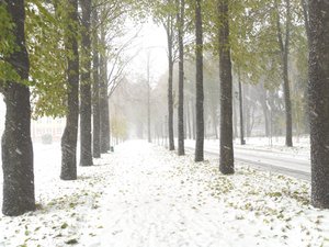 Печаль і мудрість вічної природи