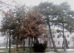 Печаль і мудрість вічної природи