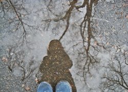 Печаль і мудрість вічної природи