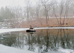 Печаль і мудрість вічної природи