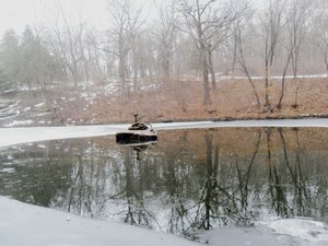 Печаль і мудрість вічної природи