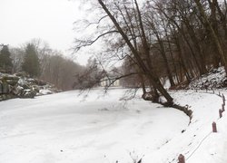 Печаль і мудрість вічної природи