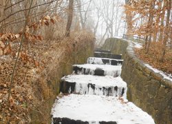 Печаль і мудрість вічної природи