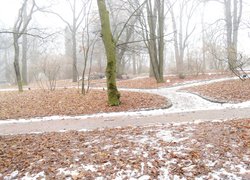 Печаль і мудрість вічної природи