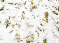 Печаль і мудрість вічної природи