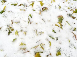 Печаль і мудрість вічної природи