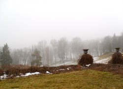 Печаль і мудрість вічної природи