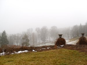 Печаль і мудрість вічної природи