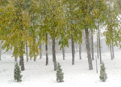 Печаль і мудрість вічної природи
