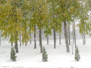 Печаль і мудрість вічної природи