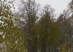 Печаль і мудрість вічної природи