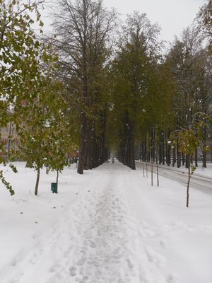Печаль і мудрість вічної природи